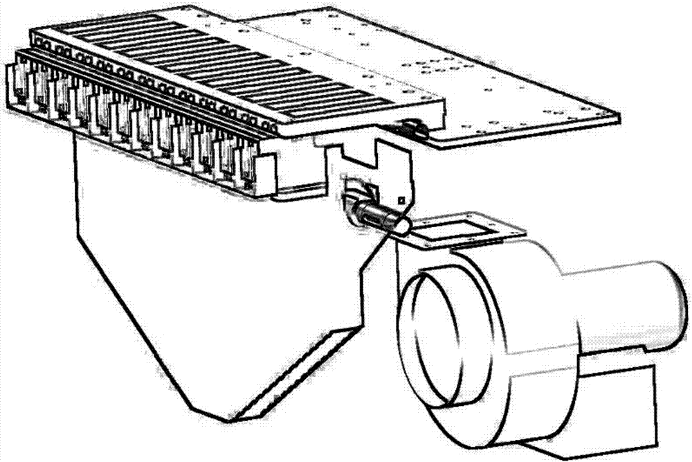 Ash and dust removing method for macadamia nut production