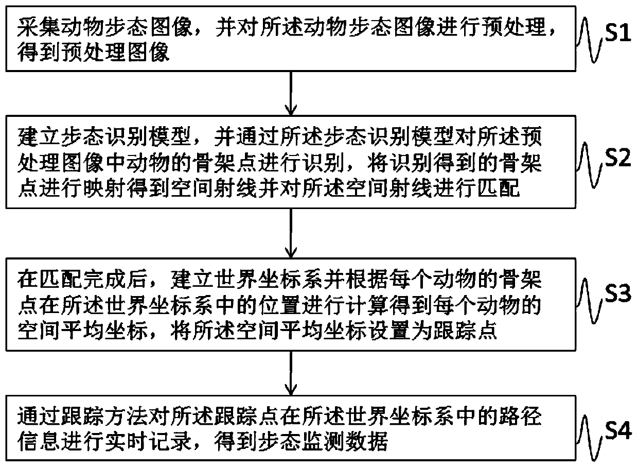 Gait monitoring method and system based on animal treadmill