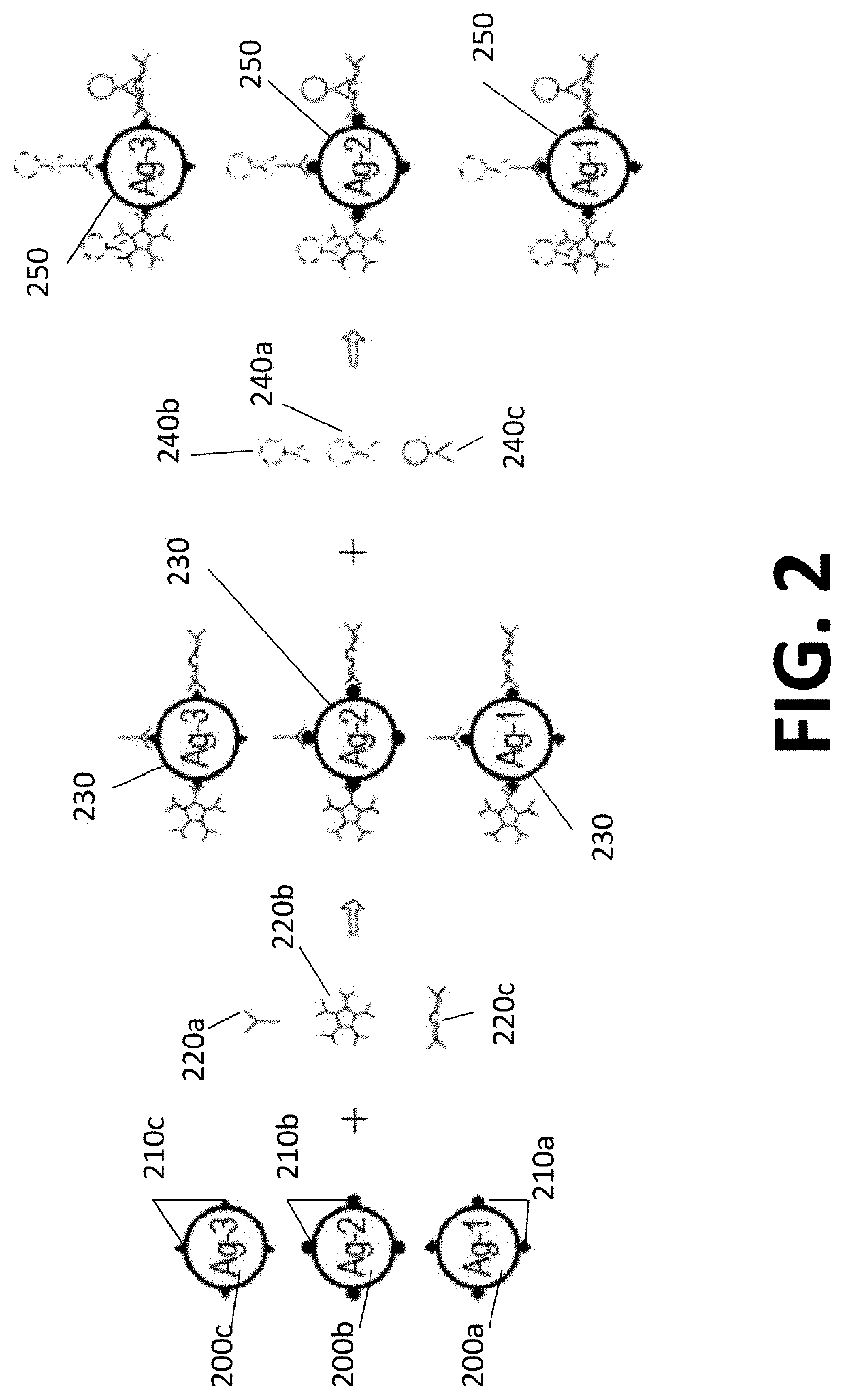 Double-multiplex assay for multiple immunoglobulin isotypes