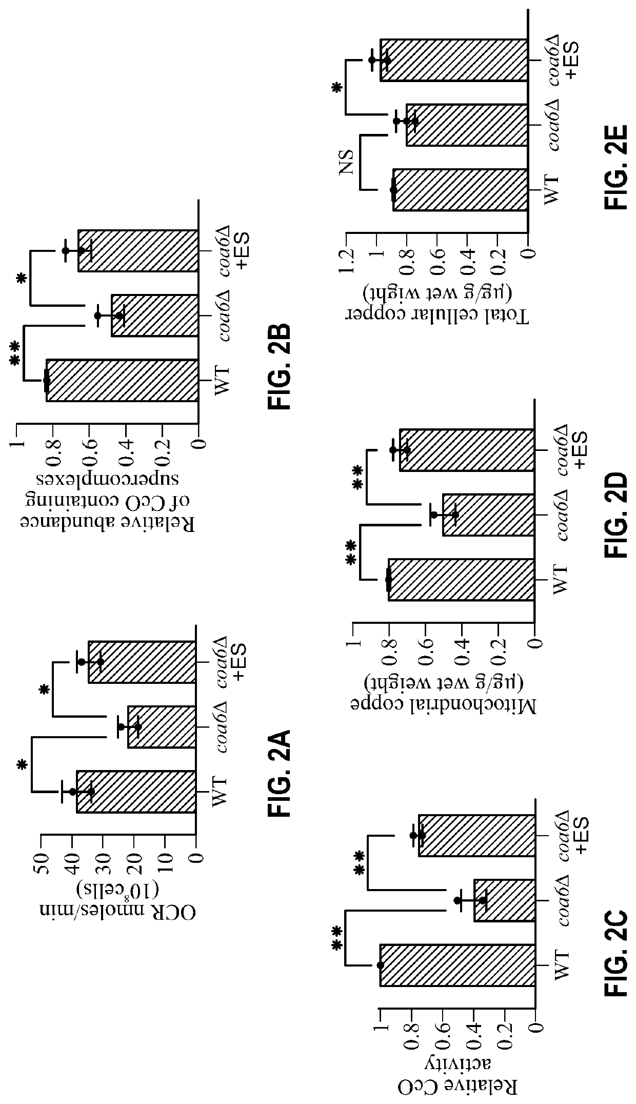 Compositions for the treatment of copper deficiency and methods of use