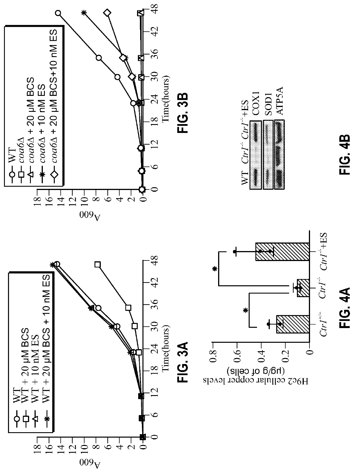 Compositions for the treatment of copper deficiency and methods of use