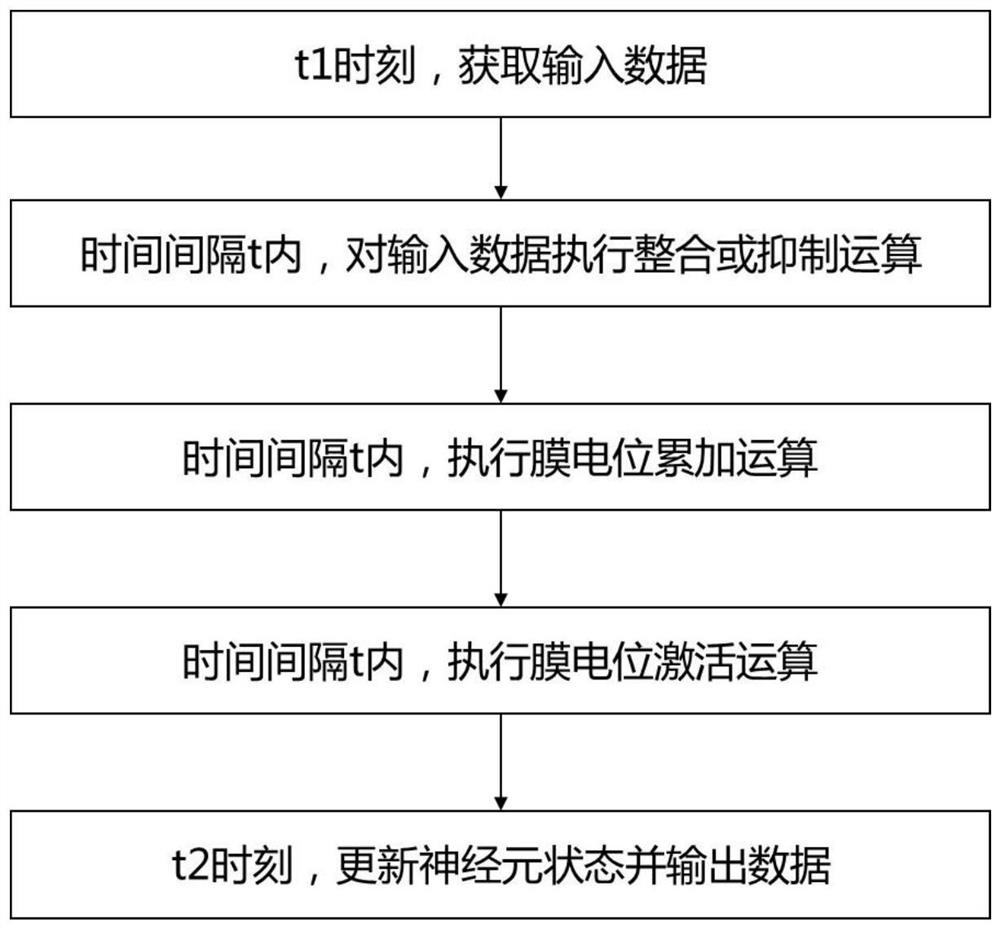 Neuron calculation method