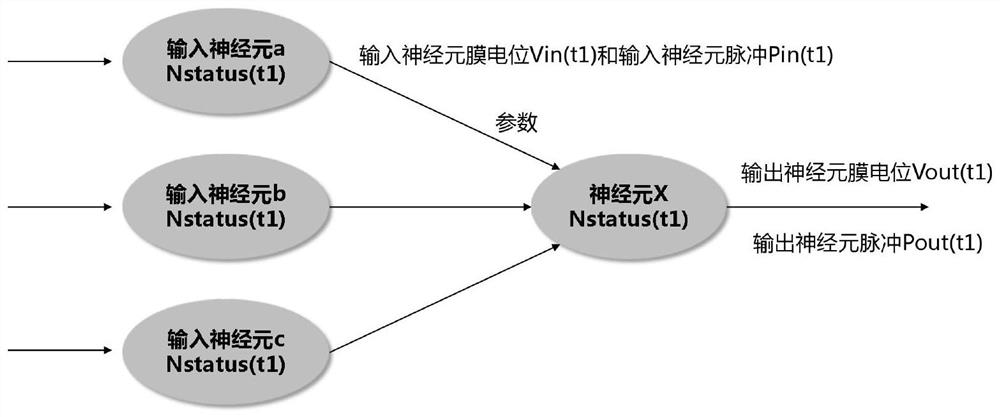 Neuron calculation method