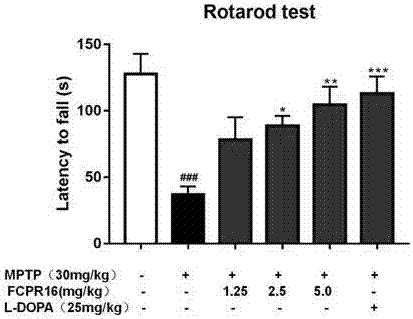 Application of PDE (phosphodiesterase)4 inhibitor