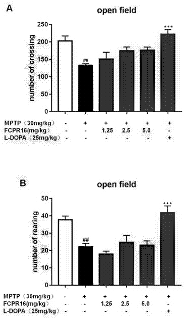 Application of PDE (phosphodiesterase)4 inhibitor