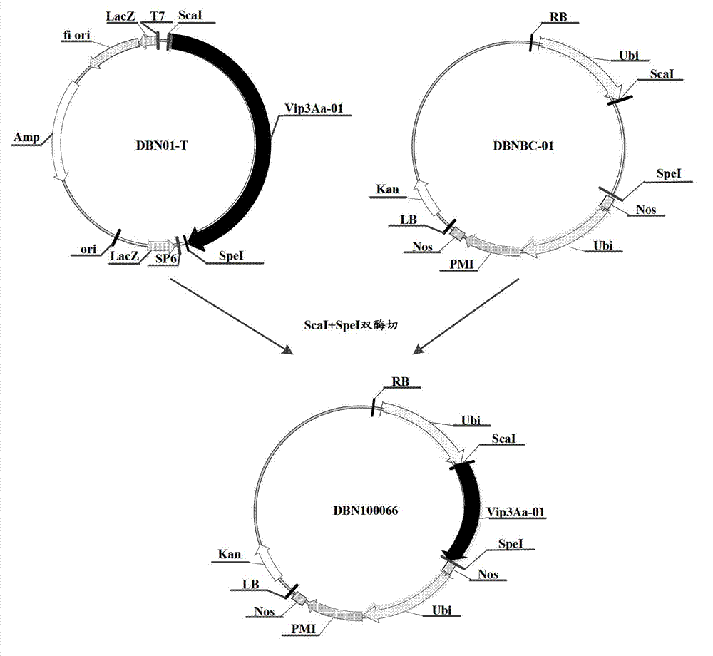 Method for controlling pests