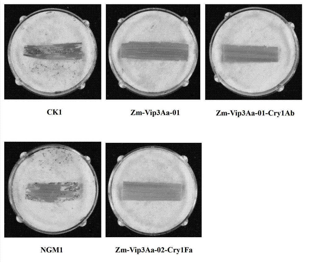 Method for controlling pests