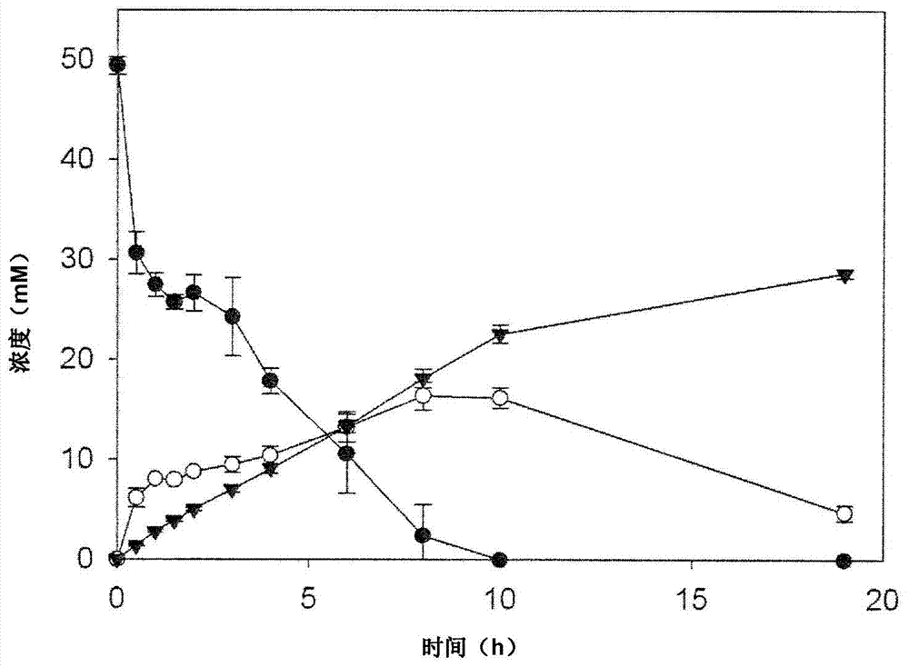 Cell-free and minimized metabolic reaction cascades for the production of chemicals