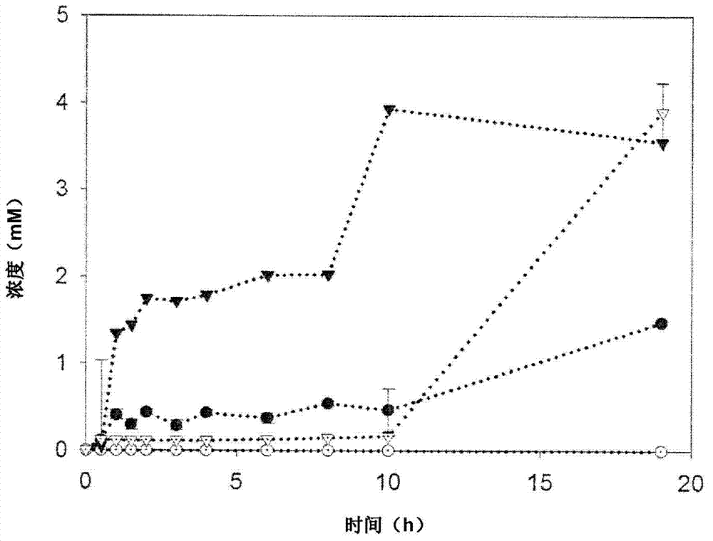 Cell-free and minimized metabolic reaction cascades for the production of chemicals