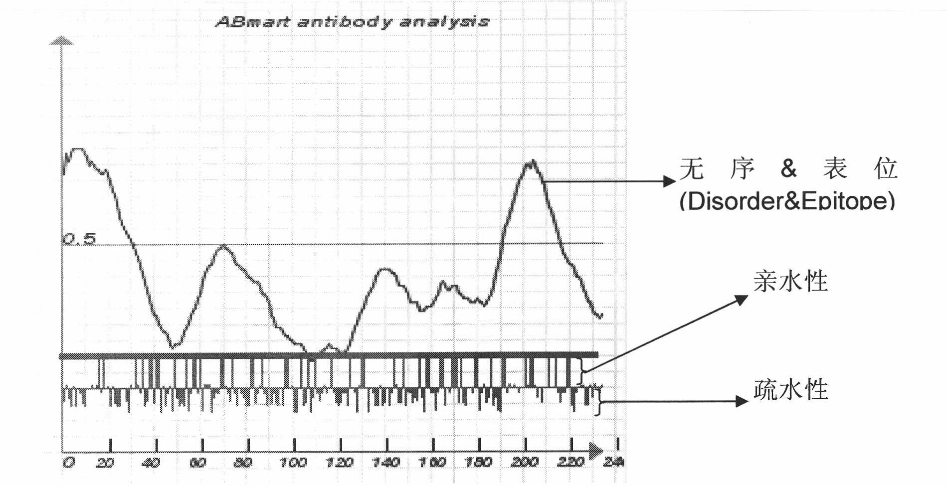 Preparation of multi-epitope thymidine kinase 1 (TK1) antibody and use of multi-epitope TK1 antibody for early tumor detection and risk early warning in mass physical examination screening