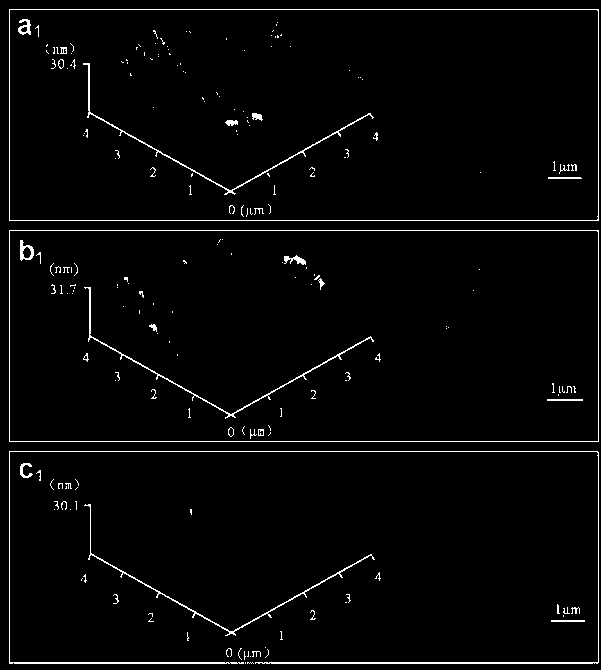 Anti-liver cell aging co-fixation electric biomaterial and application thereof