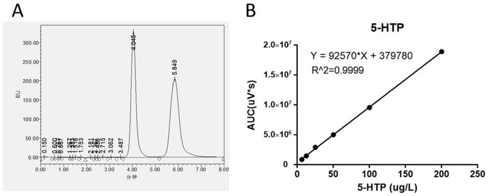 A method for screening probiotics that achieve antidepressant function through 5-hydroxytryptophan-related pathway based on cellular level