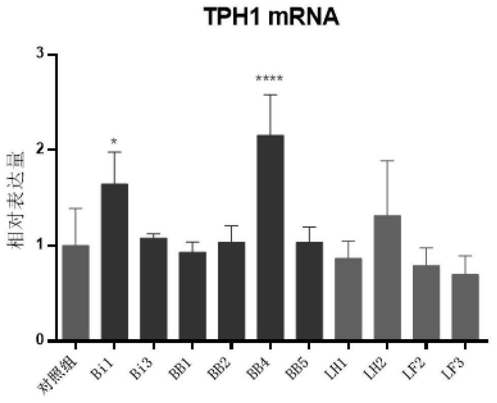 A method for screening probiotics that achieve antidepressant function through 5-hydroxytryptophan-related pathway based on cellular level