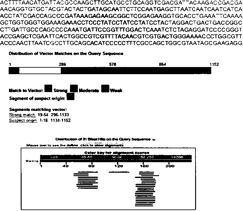 Chromosome specific marker of elytrigia elongata in wheat background and use thereof