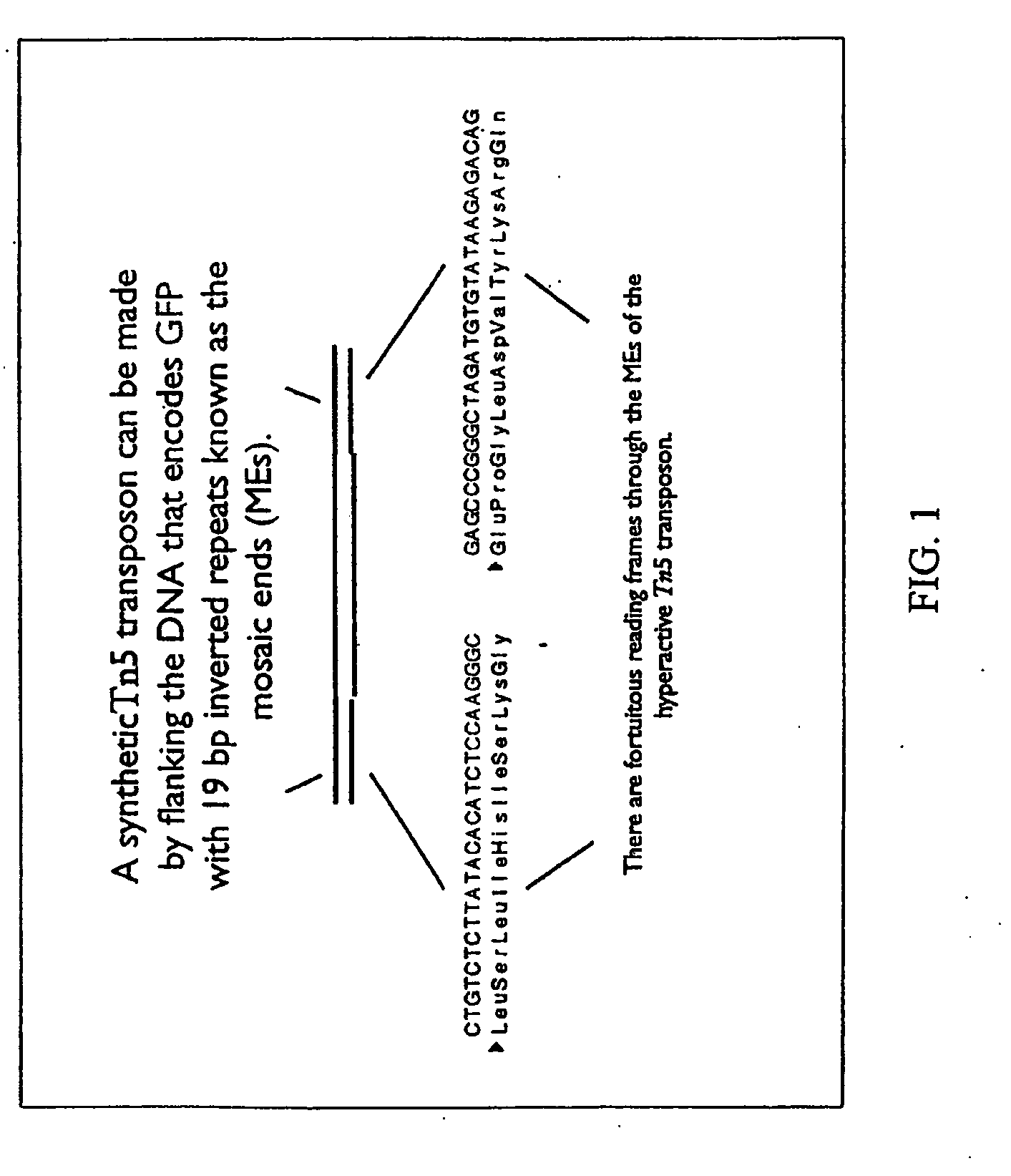 System for detecting protein-protein interactions