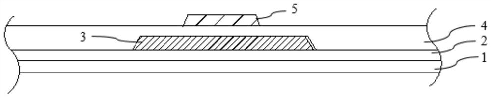 Display panel and preparation method thereof