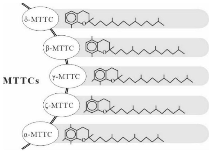 Method for identifying paleo-salinity of lacustrine facies deposition