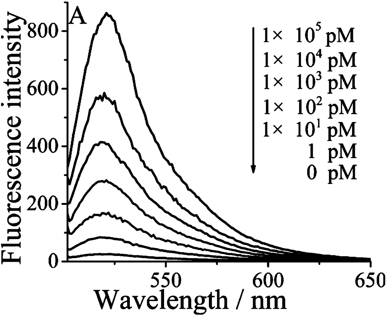 Biosensor for detecting adenosine triphosphate (ATP)