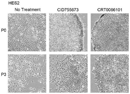 Application method of small molecules capable of promoting self-status-renewal of embryonic stem cells