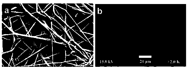 Oral cavity instant membrane agent containing rizatriptan benzoate and preparation method thereof