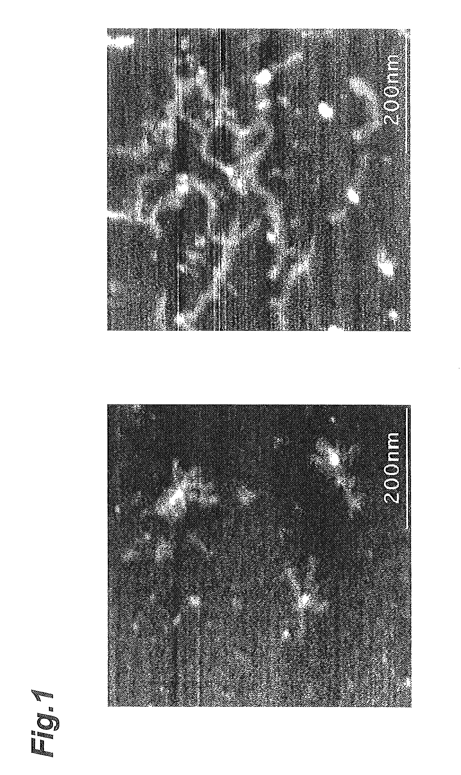 Pectic polysaccharide and method for producing same