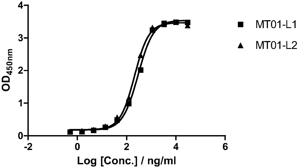 Isolated antibody or antigen-binding fragment thereof and application of isolated antibody or antigen-binding fragment thereof in tumor therapy