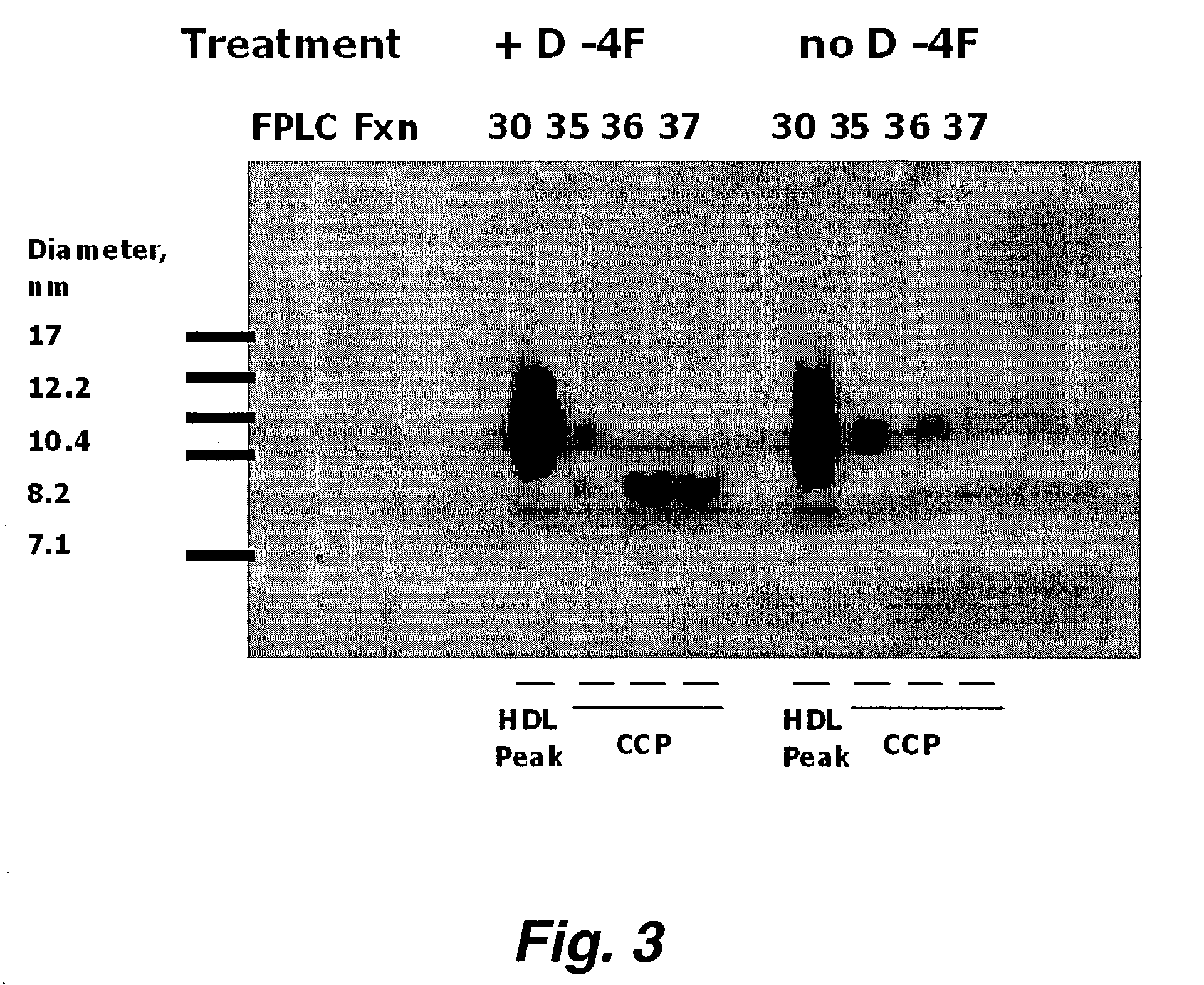 Orally administered peptides synergize statin activity