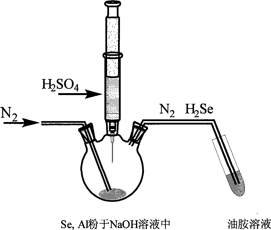 Method for preparing CdSe and ZnSe quantum dot nanometer granules