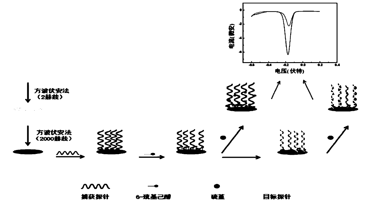 Two-step method for preparing nano-porous gold and application of nano-porous gold in detection of non-small cell lung cancer drug resistance related micro RNA (let-7a)