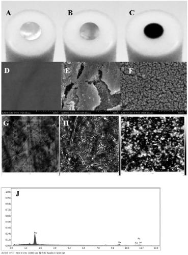 Two-step method for preparing nano-porous gold and application of nano-porous gold in detection of non-small cell lung cancer drug resistance related micro RNA (let-7a)