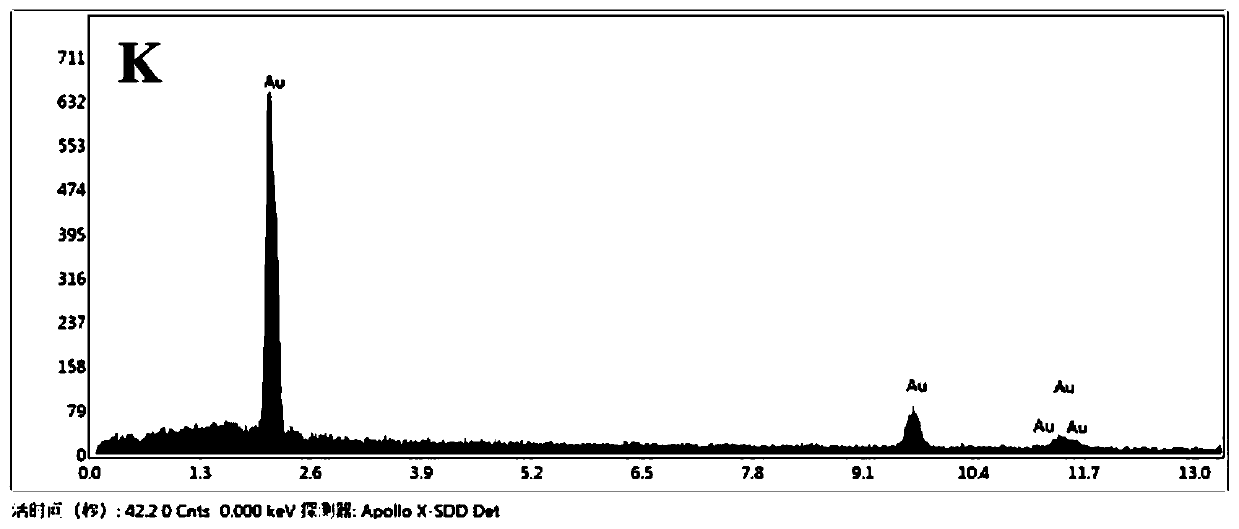 Two-step method for preparing nano-porous gold and application of nano-porous gold in detection of non-small cell lung cancer drug resistance related micro RNA (let-7a)