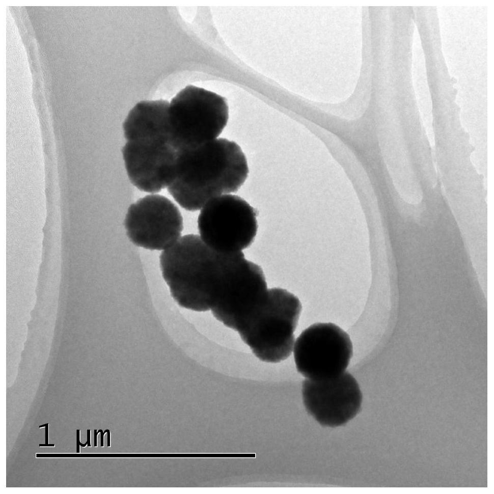 A kind of nano ferric oxide/bovine serum albumin composite material and its preparation method and application