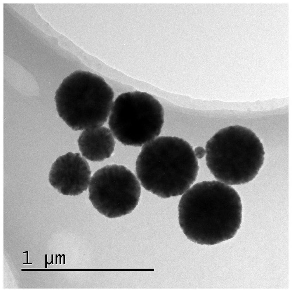 A kind of nano ferric oxide/bovine serum albumin composite material and its preparation method and application