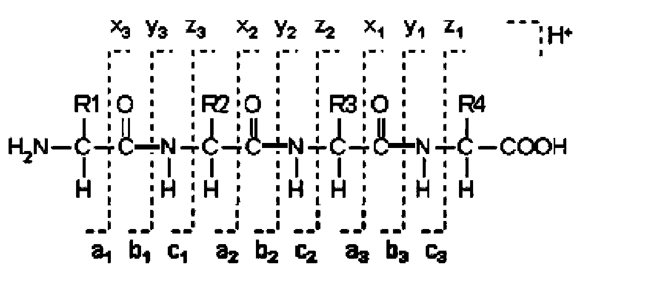 Method and system based on HCD mass spectrogram and ETD mass spectrogram for peptide fragment de novo sequencing