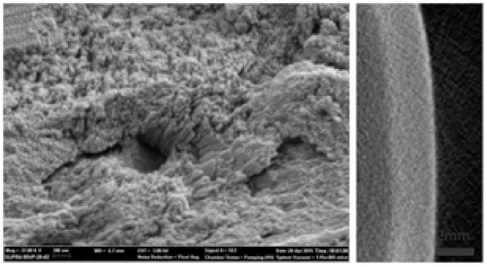 Directional orderly mineralized material for tooth enamel and preparation method thereof