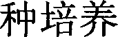 CZ-81 strain of 'Baibachi' bacterium and artificial culture method