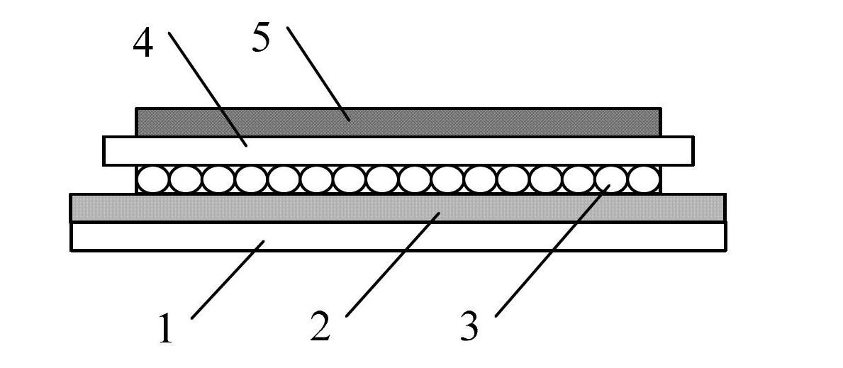 Electric refrigerating light assembly and manufacturing method thereof