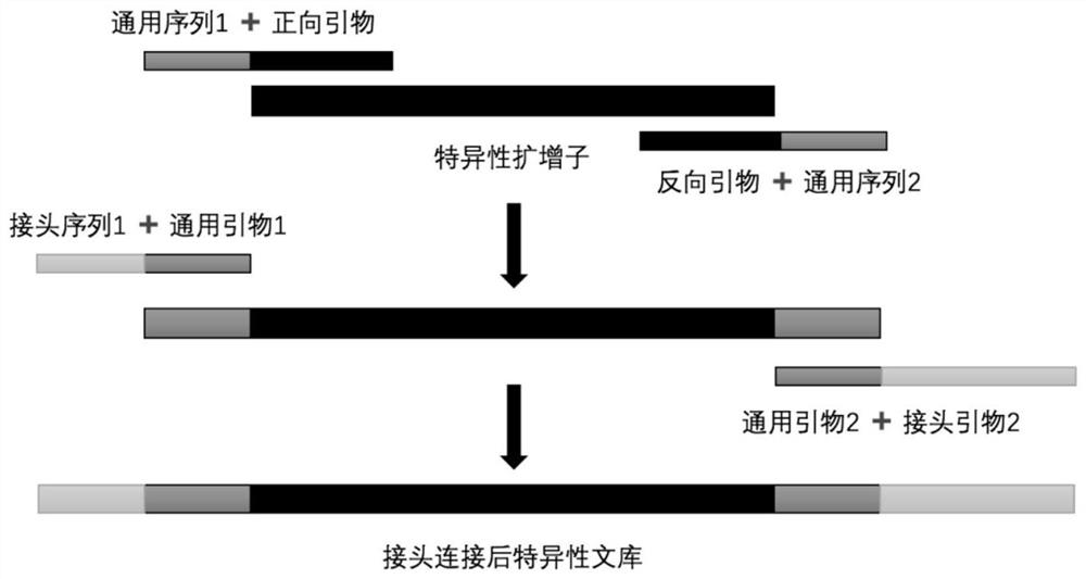 Two-step PCR technology