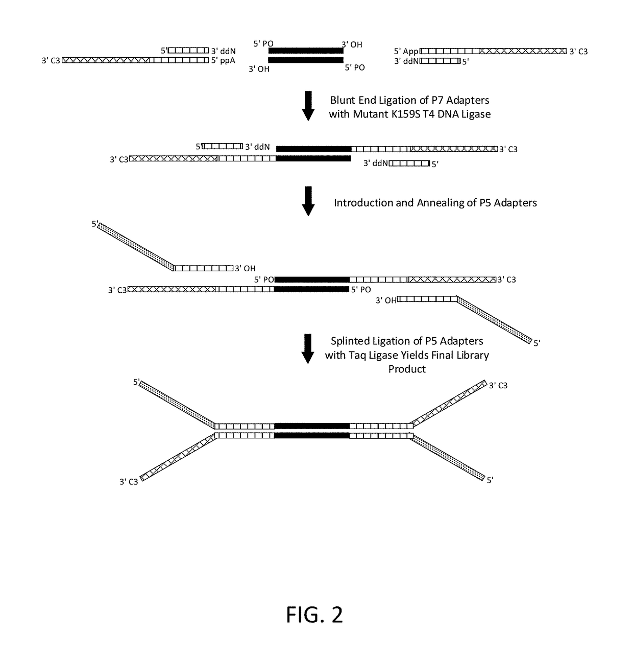 Construction of next generation sequencing (NGS) libraries using competitive strand displacement