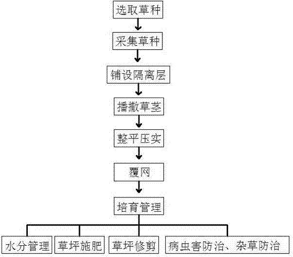 Method for culturing soil-free lawn in substrate-free mode