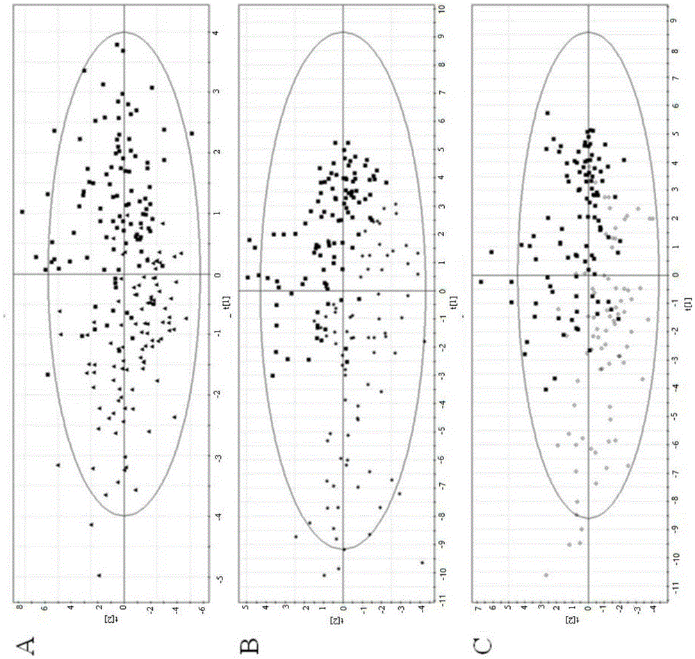 Determination method and application of osteoporosis serum metabolic marker