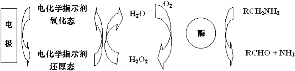 Biosensor for detecting biogenic amines and its production method