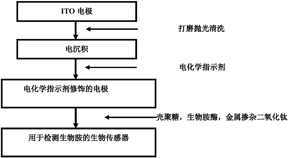 Biosensor for detecting biogenic amines and its production method