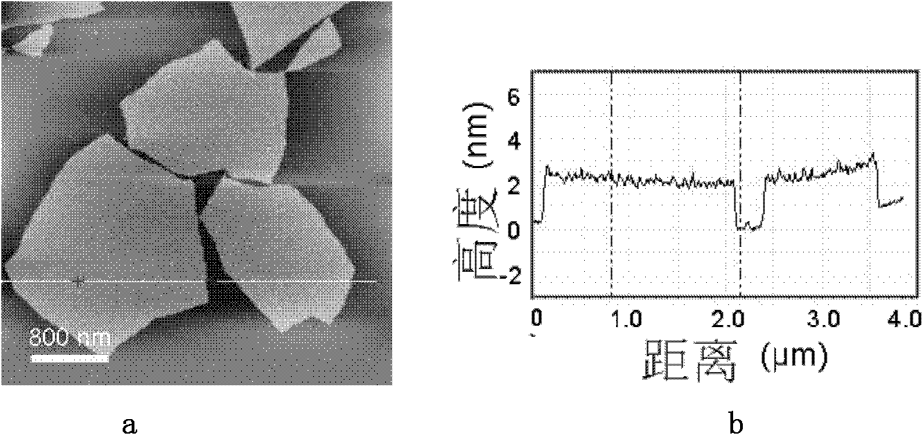 Method for grafting polyvinylpyrrolidone onto surface of graphene