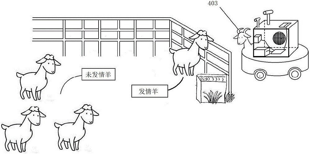 Bionic ewe estrus detection/induction apparatus and estrus detection/induction method