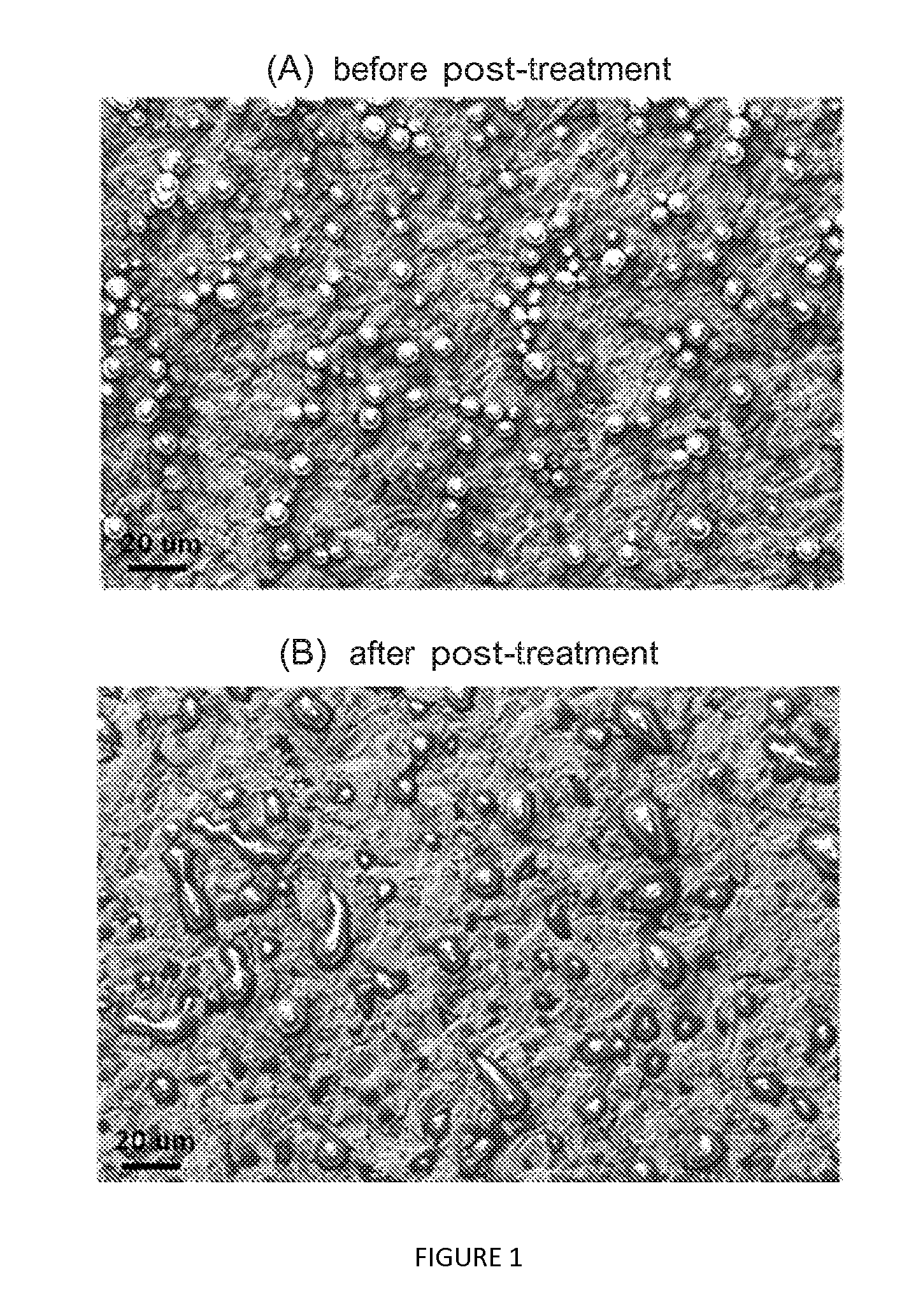 Method for preparing biomedical metal alloy material with multi-drug delivery system