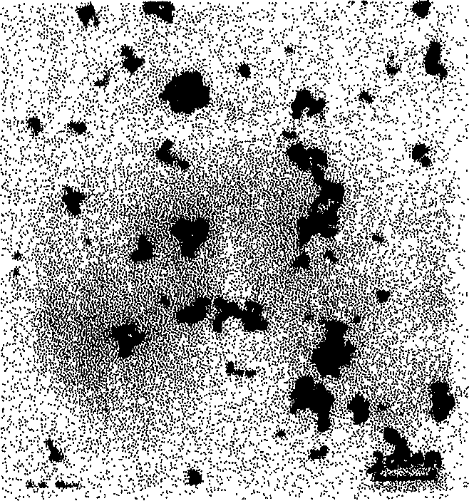 Microwave coprecipitation method for preparing nano glaze of lead metaborate