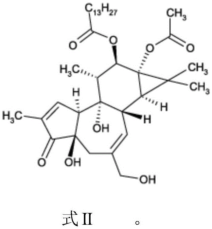 Compounds of phorbol esters and methods of use