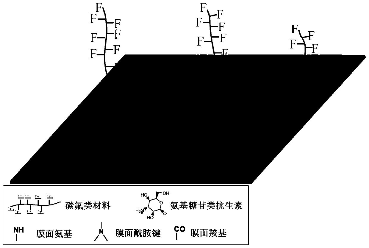 An aromatic polyamide composite reverse osmosis membrane grafted with fluorocarbon materials and aminoglycoside antibiotics and its preparation method