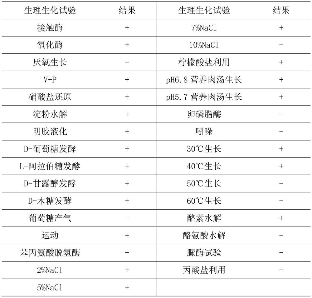 Biocontrol bacillus for preventing and treating soil-borne diseases of fruits and vegetables and preparation of biocontrol bacillus